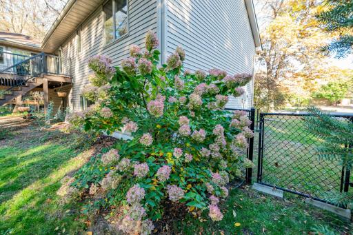 Flowering shrubs add seasonal interest to the landscaping.
