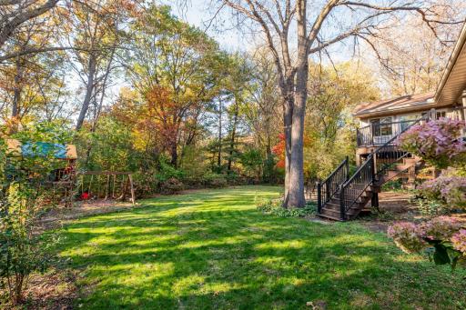 A beautiful backyard framed by mature trees.