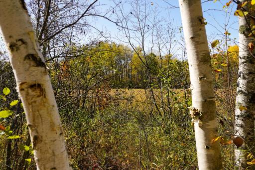 3545 Uniform Street, Sandstone, MN 55072
