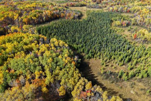 3545 Uniform Street, Sandstone, MN 55072