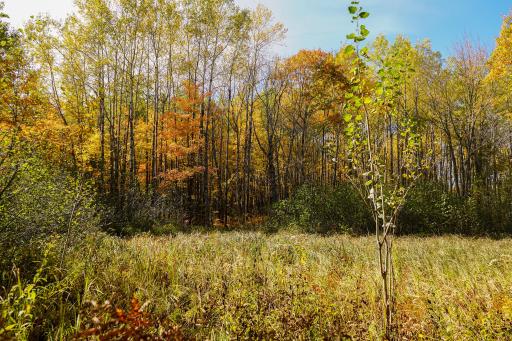 3545 Uniform Street, Sandstone, MN 55072