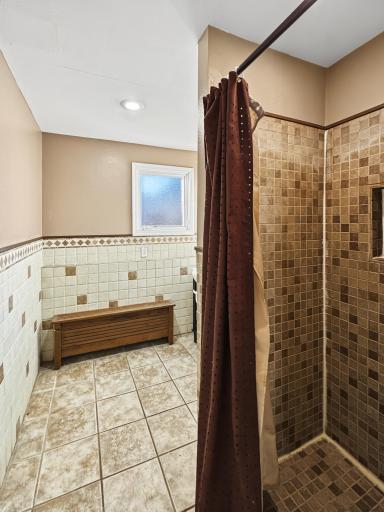 Lower Level Bathroom