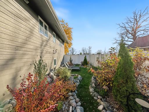 Side Yard