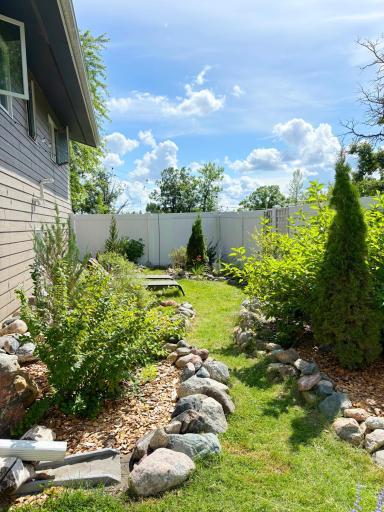 Side Yard in Summer