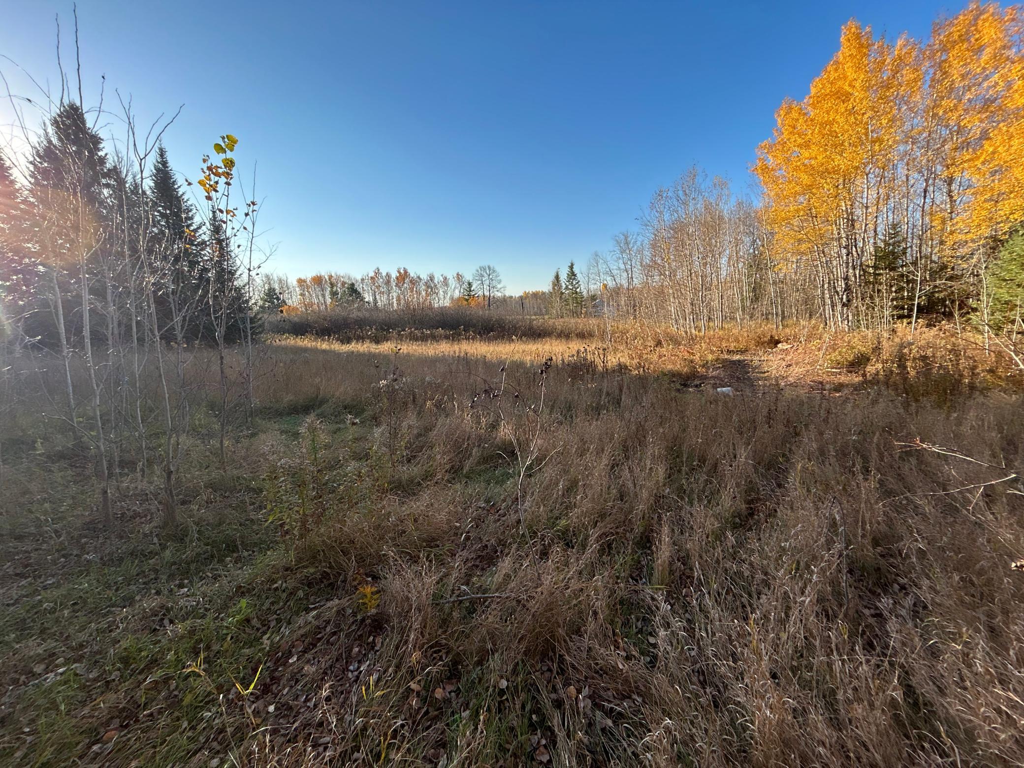 10629 Town Rd 34, Mizpah, MN 56660