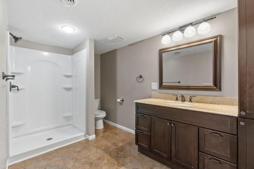 Lower level bathroom