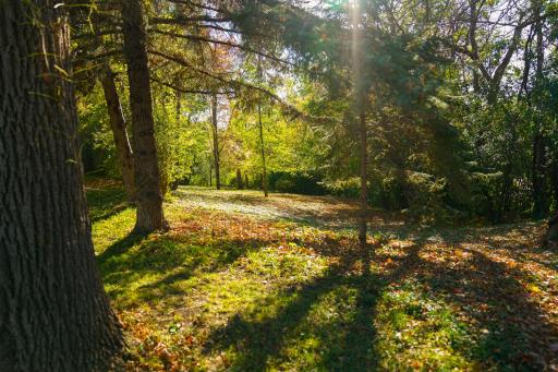 413 W Beech Avenue, Fergus Falls, MN 56537