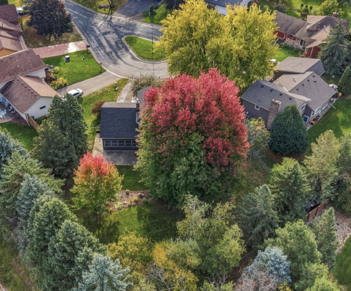 View of the large irregular shaped backyard