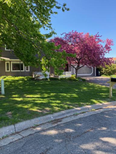Beautiful color from the front tree. Photo taken in the spring before the garage door was replace in September 2026