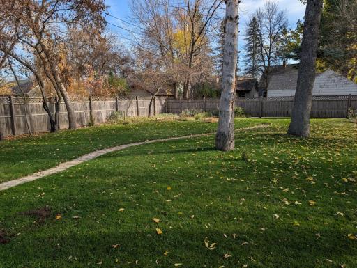 Backyard
