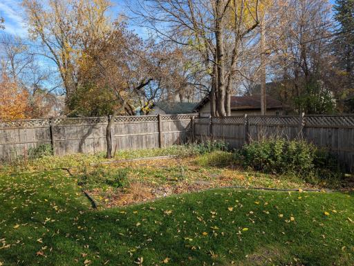 Backyard Gardens