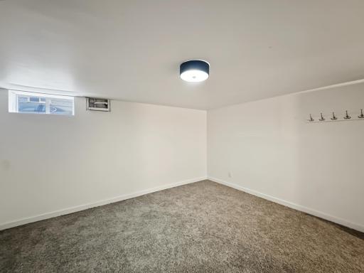 Lower Level Non-Conforming Bedroom
