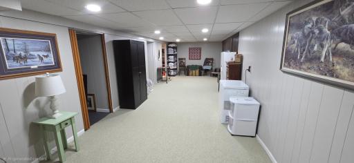 Lower level family room