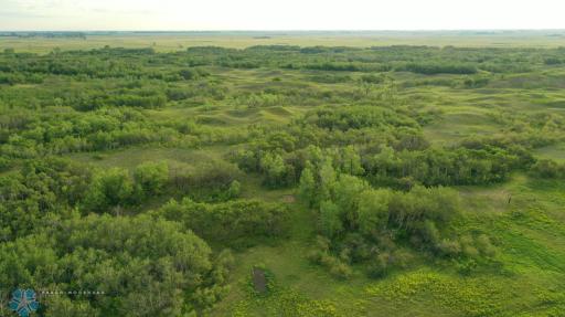 TBD 7TH Avenue NE, Towner, ND 58788