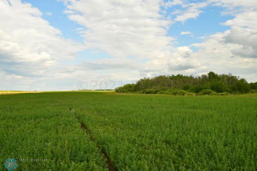 TBD 7TH Avenue NE, Towner, ND 58788