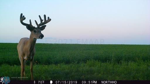 TBD 7TH Avenue NE, Towner, ND 58788
