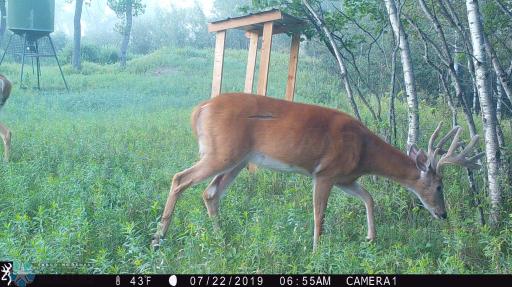 TBD 7TH Avenue NE, Towner, ND 58788