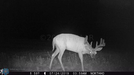 TBD 7TH Avenue NE, Towner, ND 58788