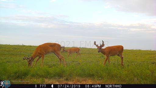 TBD 7TH Avenue NE, Towner, ND 58788
