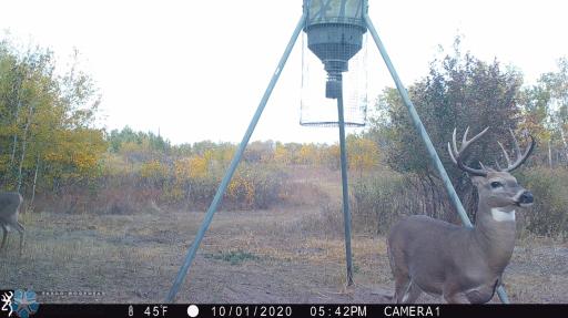 TBD 7TH Avenue NE, Towner, ND 58788