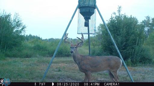 TBD 7TH Avenue NE, Towner, ND 58788