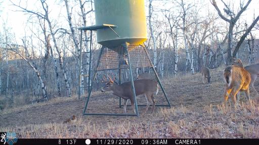 TBD 7TH Avenue NE, Towner, ND 58788