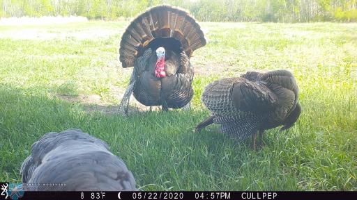 TBD 7TH Avenue NE, Towner, ND 58788