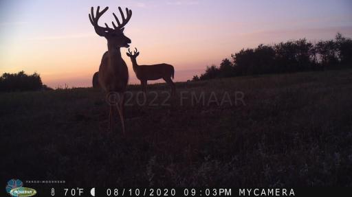 TBD 7TH Avenue NE, Towner, ND 58788