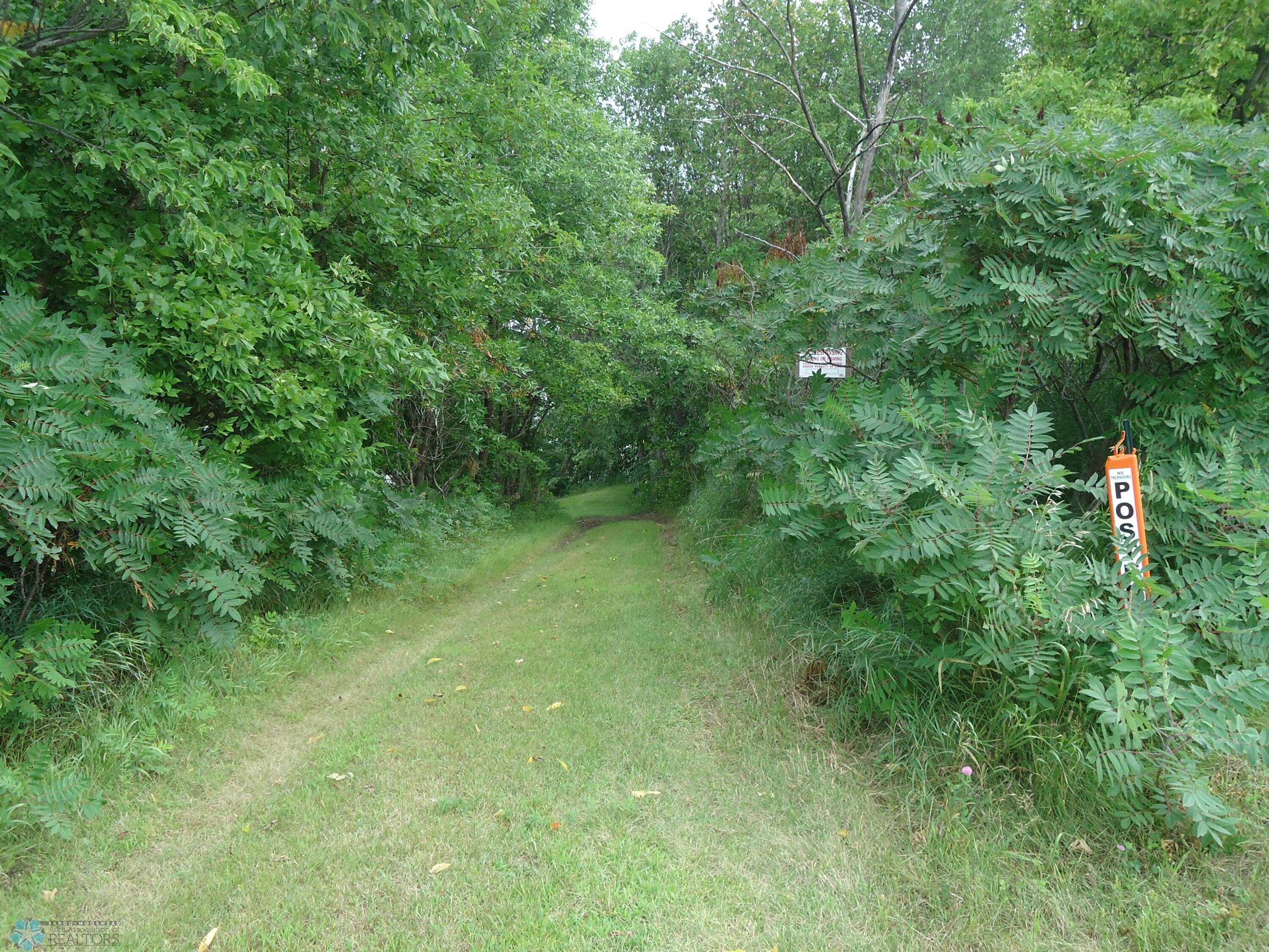 Path down to the lake