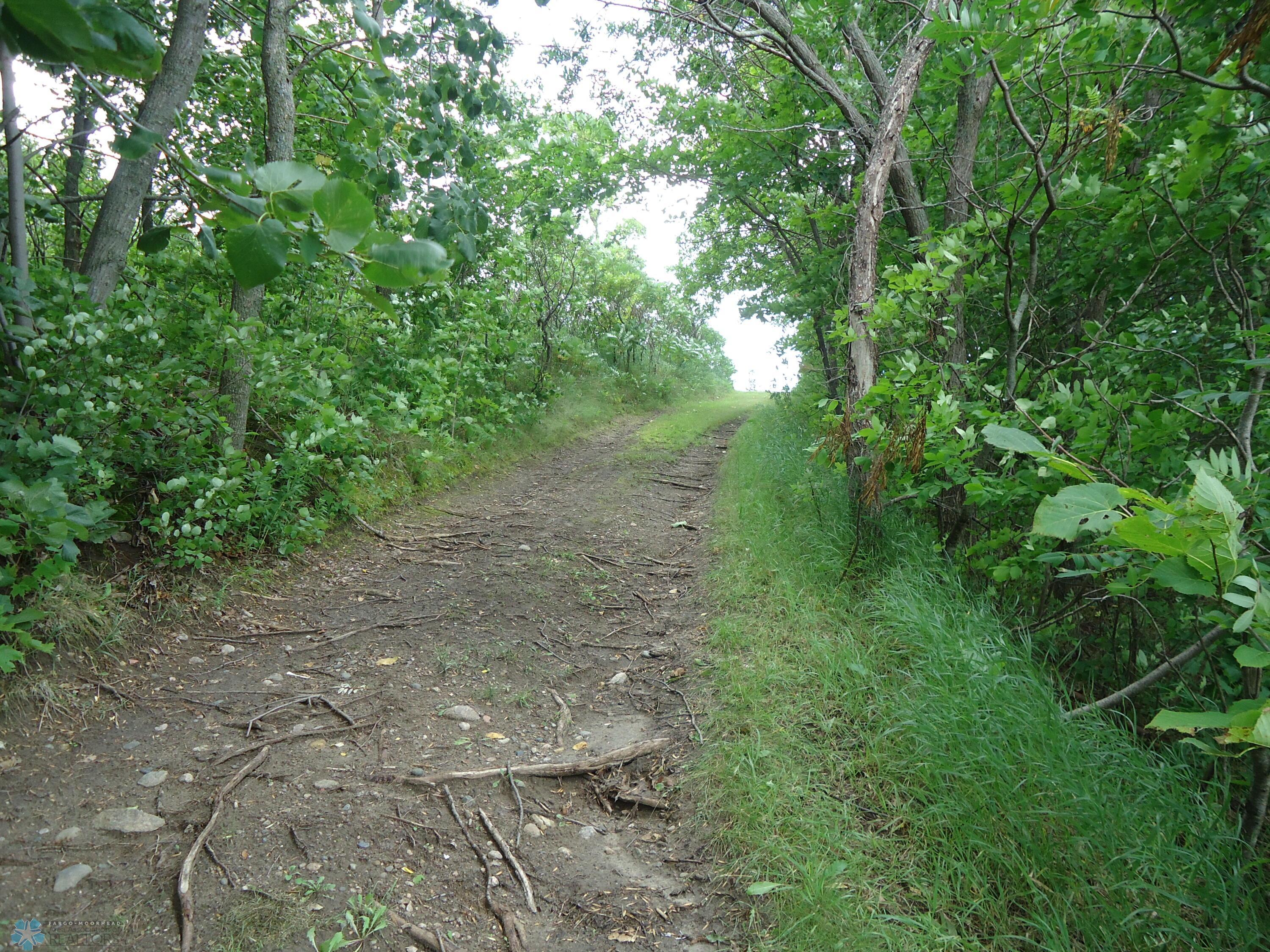 Walkway to the lake
