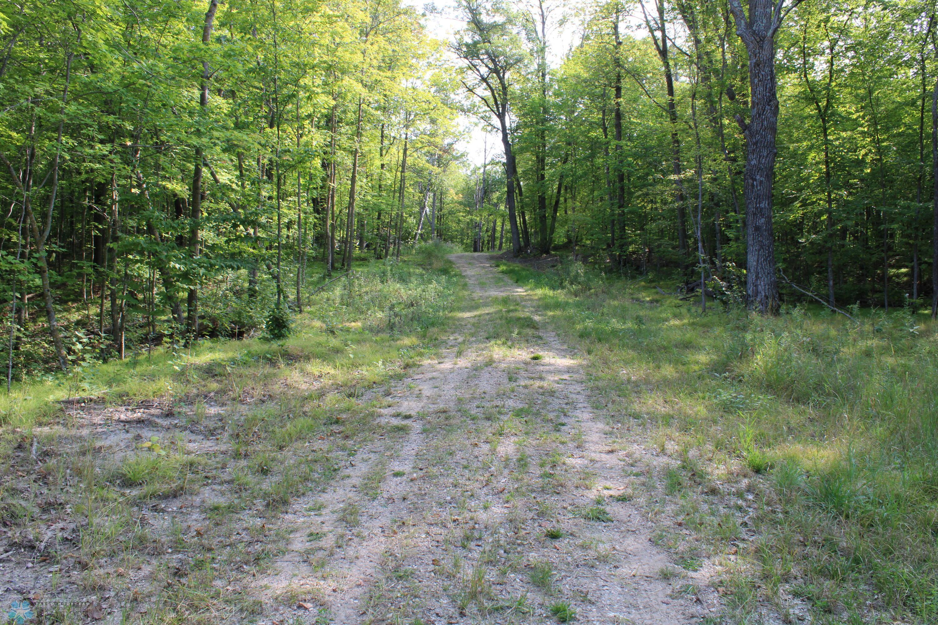 Established Road Across Property