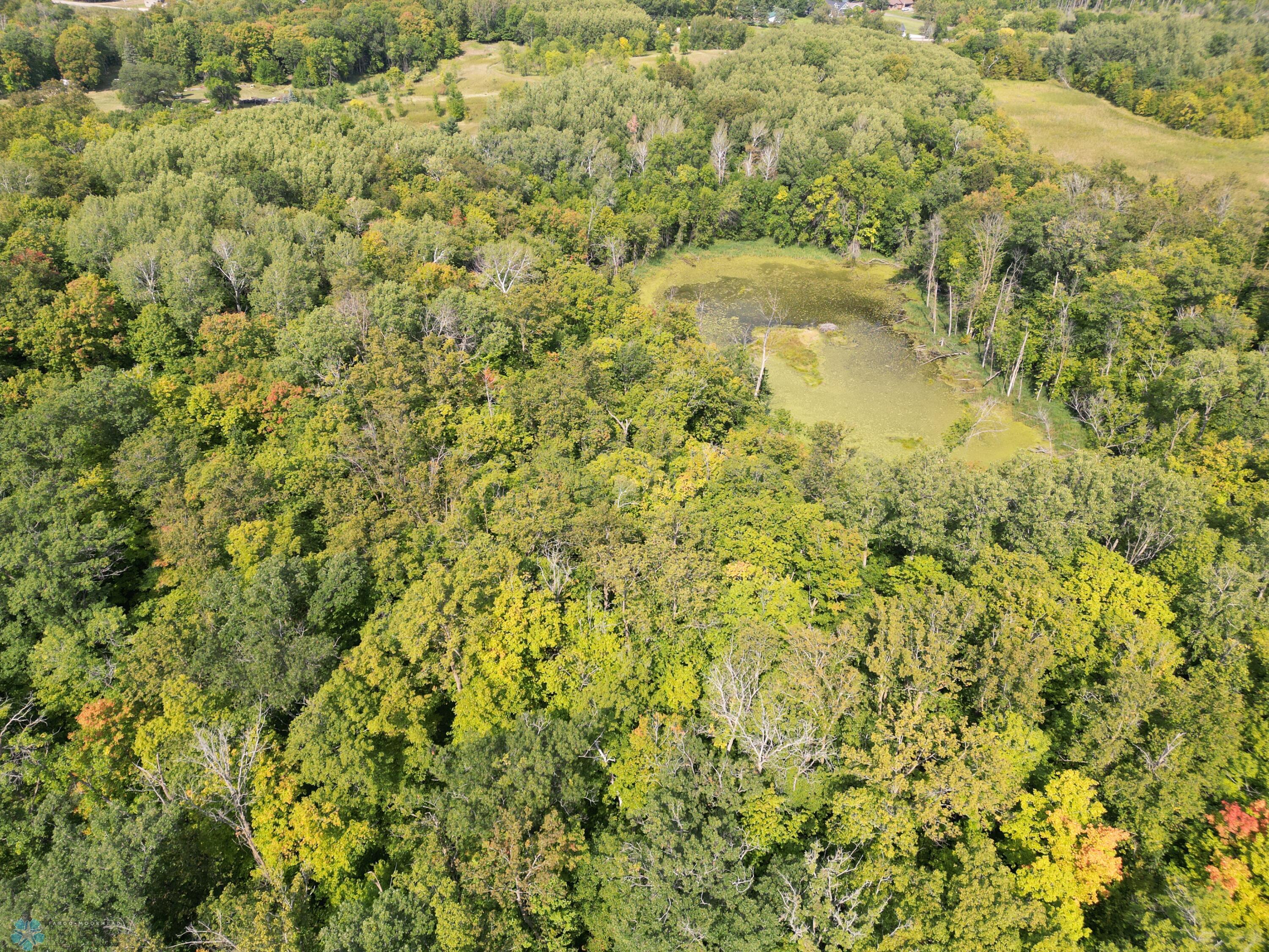 A Mixture Of Woods And Ponds