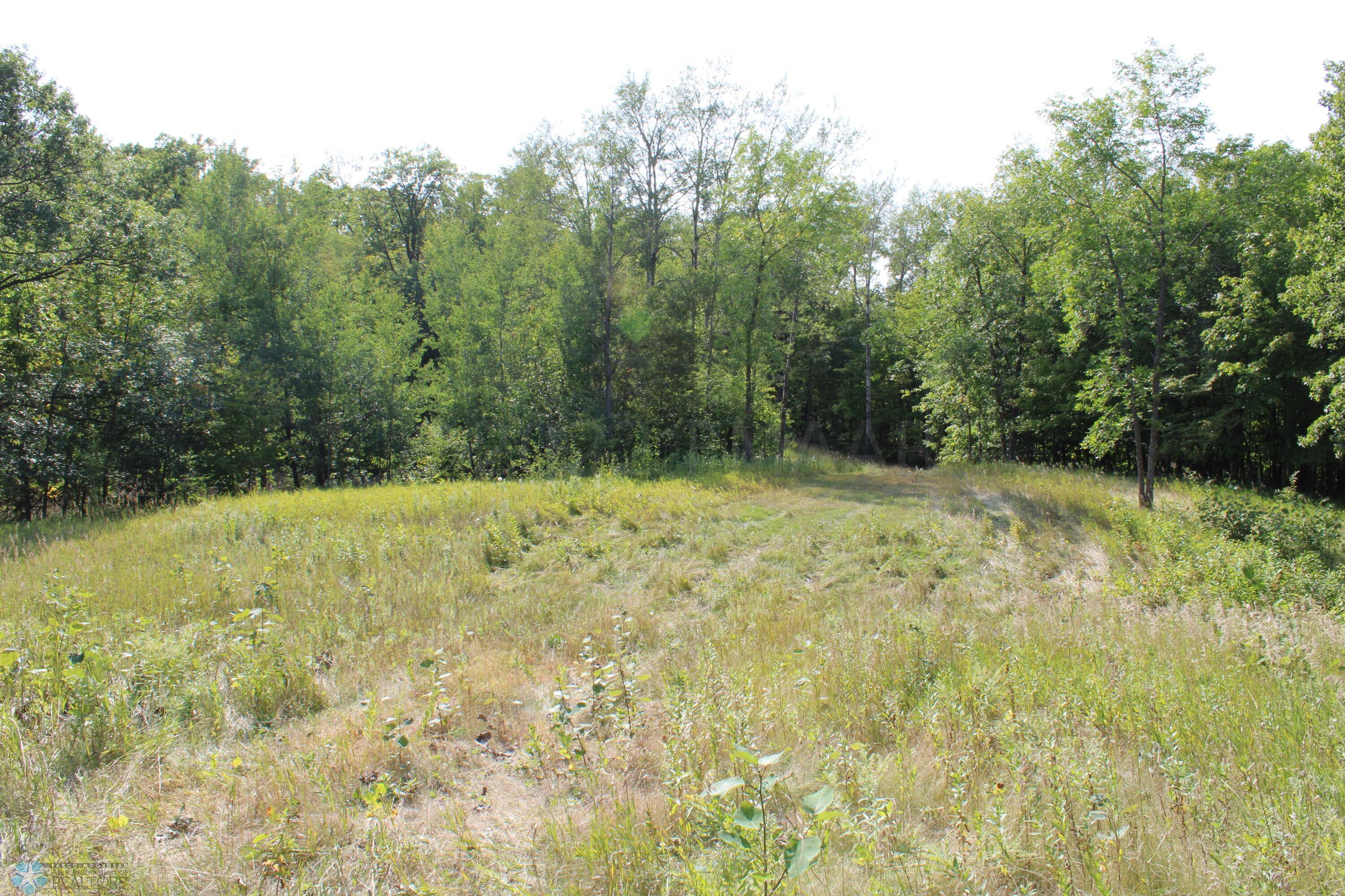 Open Areas
