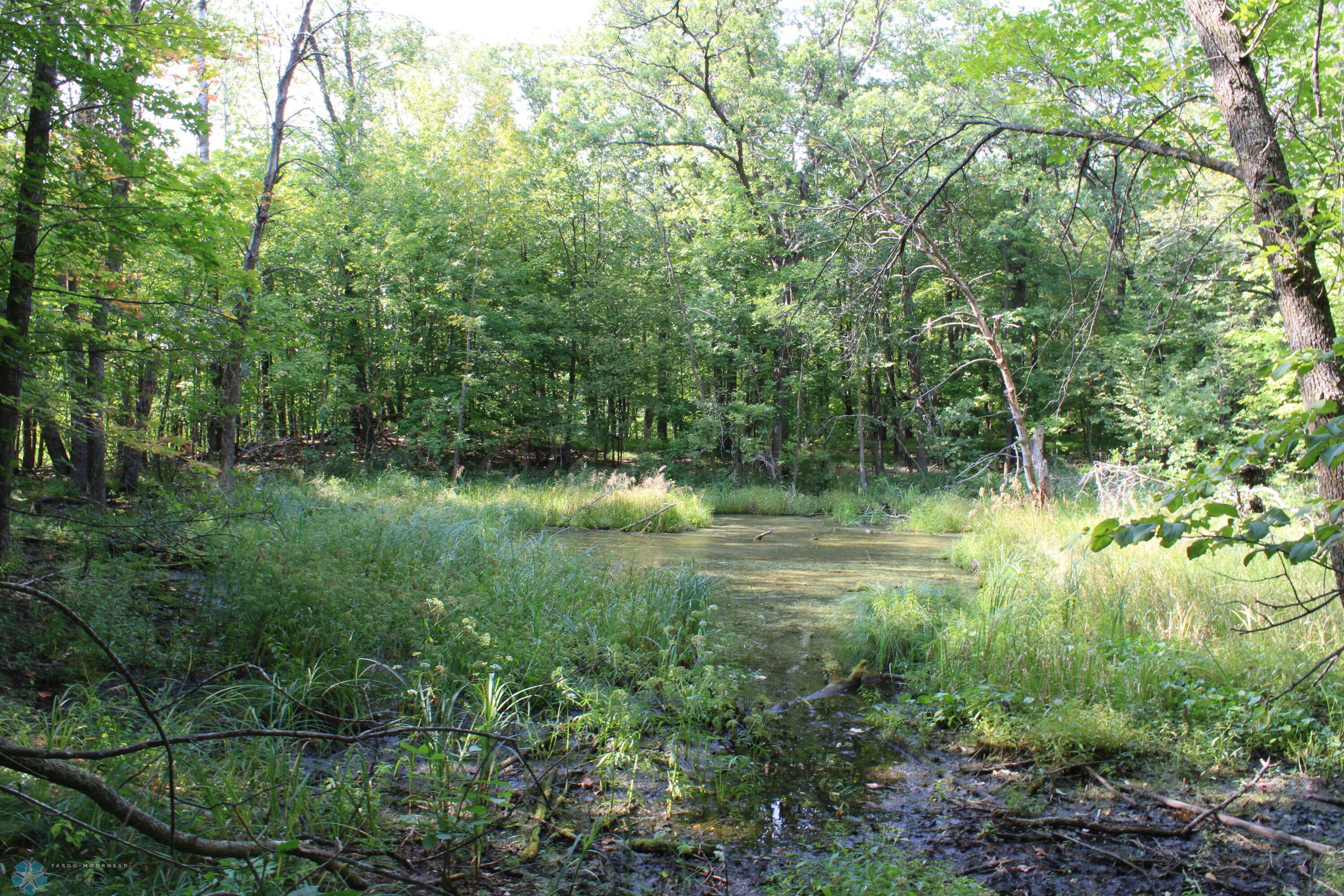 Small Ponds