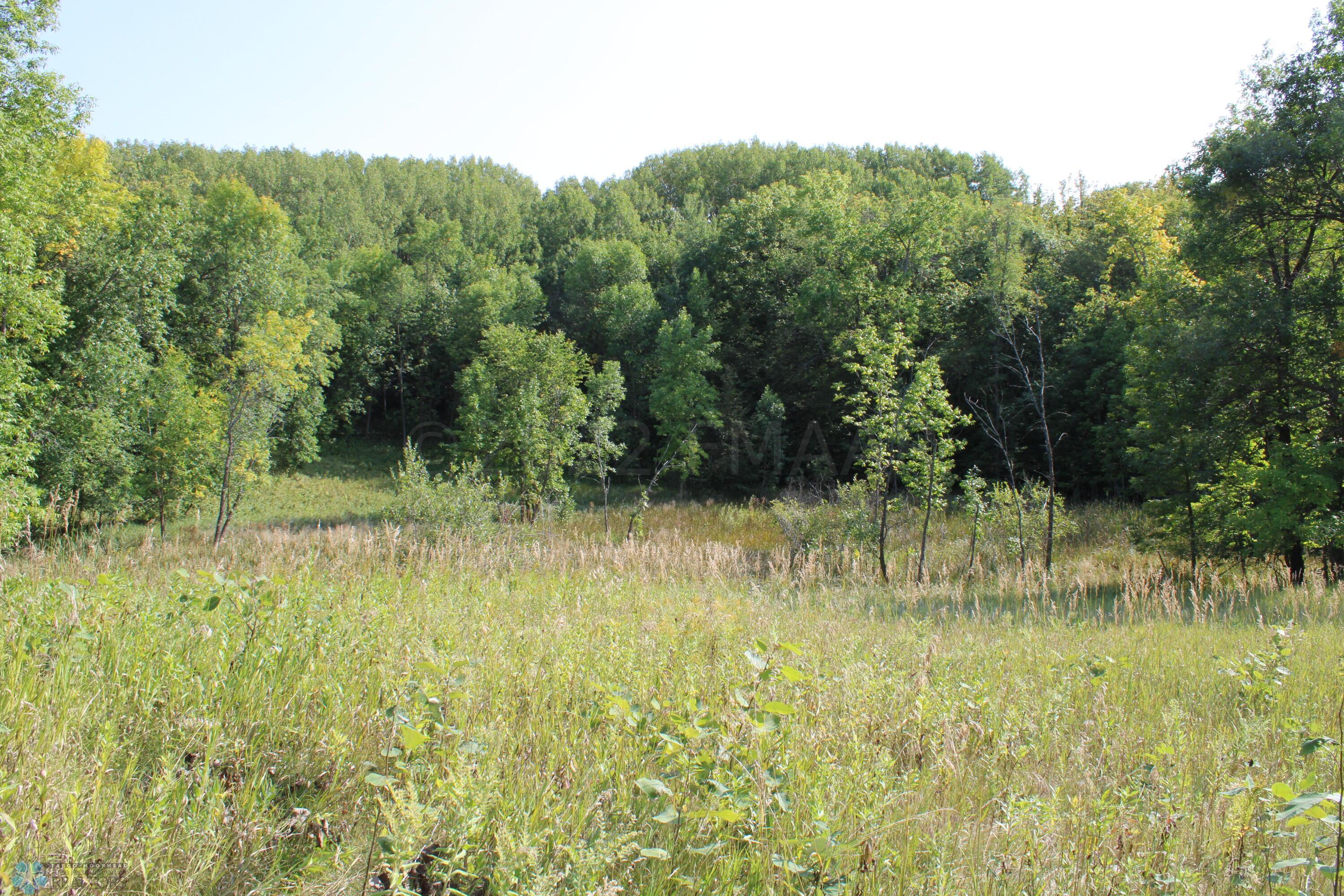 Wetlands
