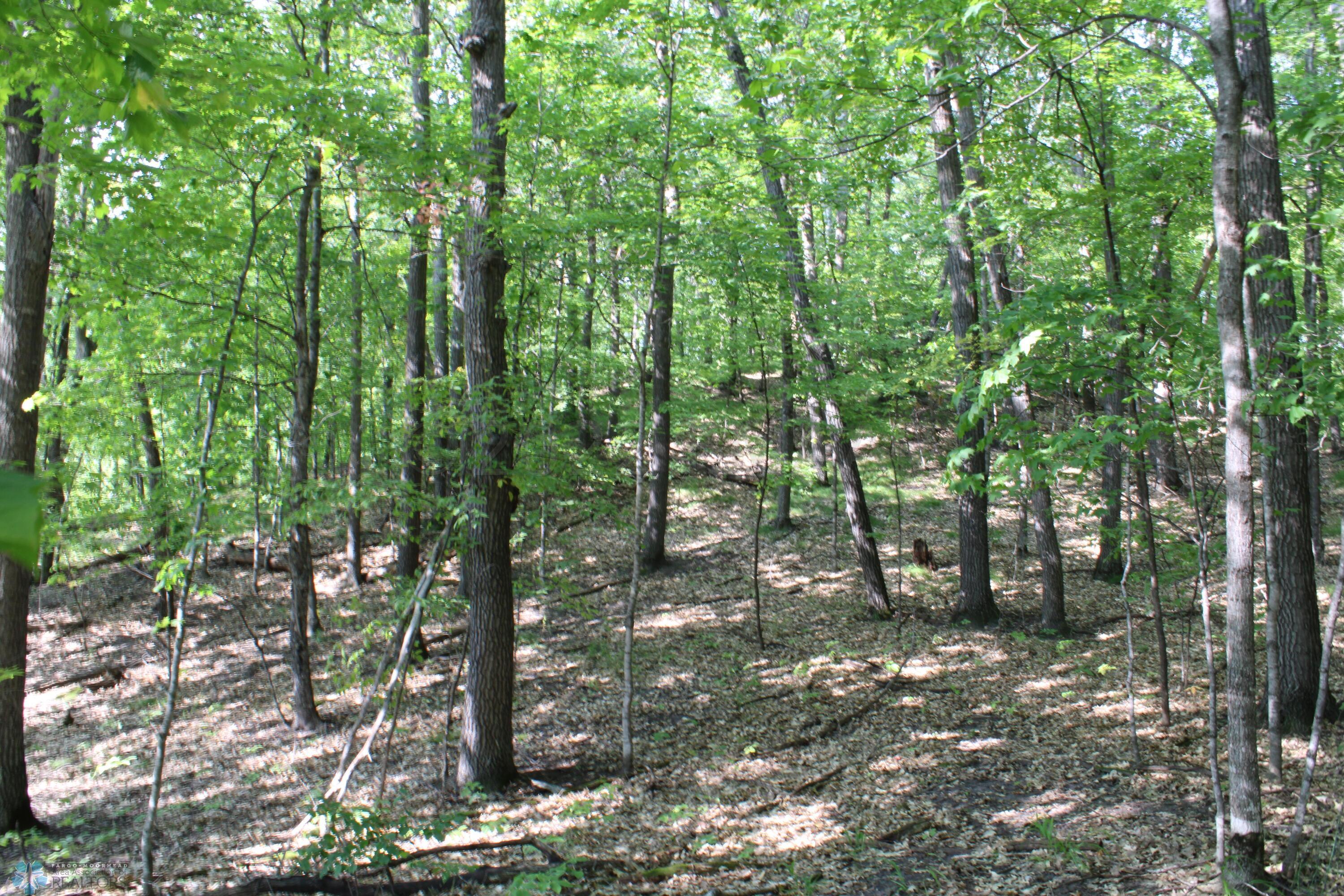Mature Hardwoods