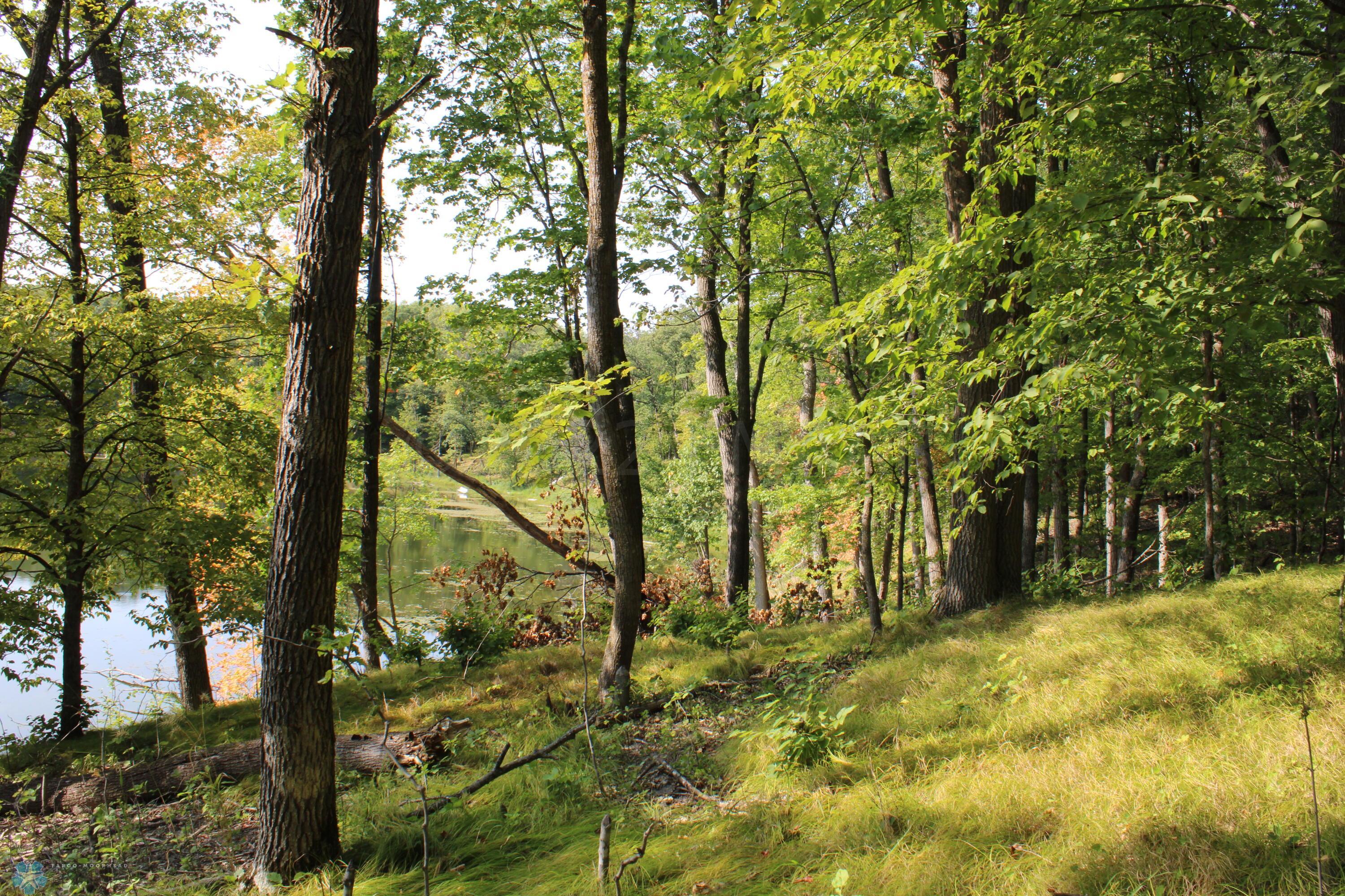 Clearing Near The Lake
