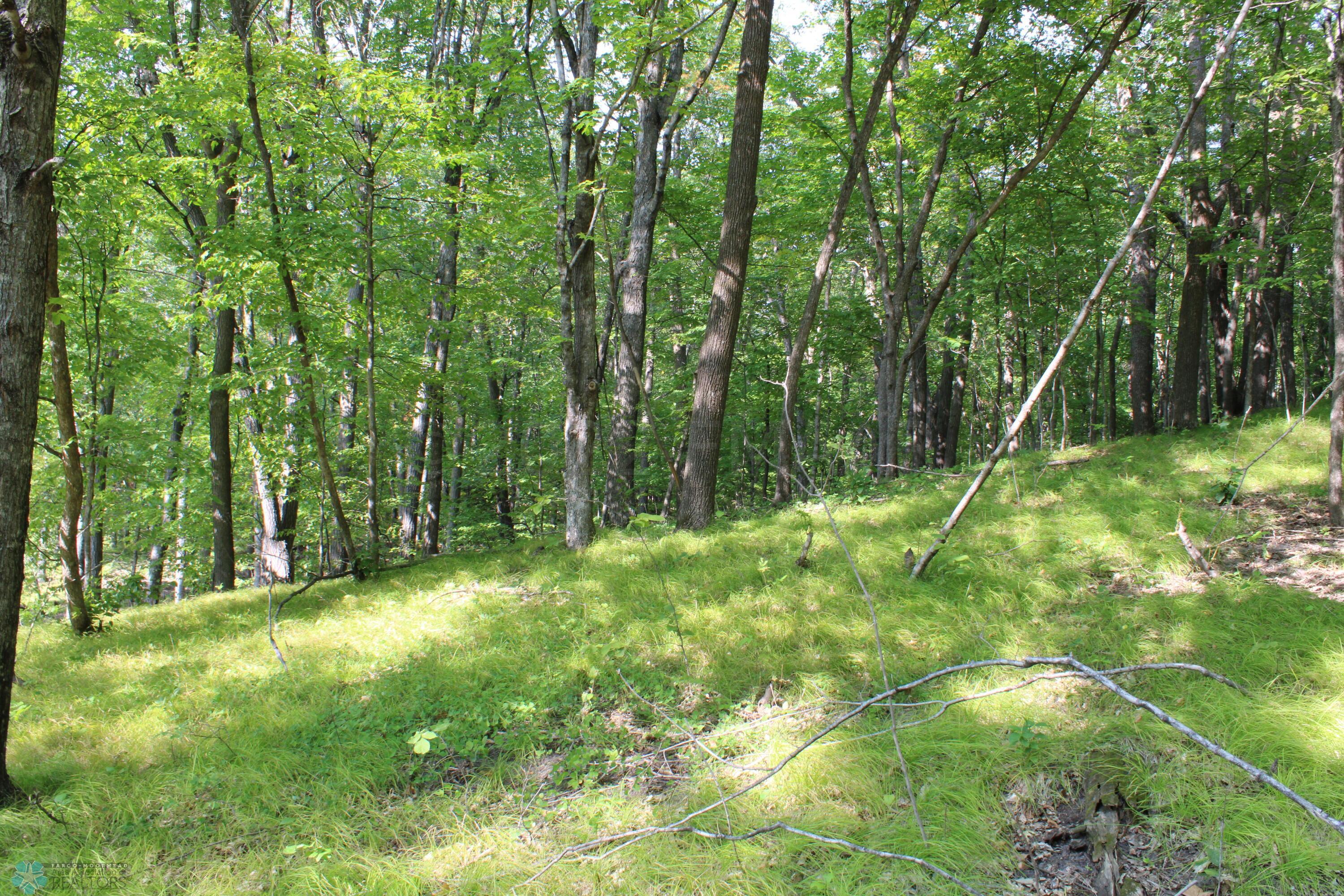Open Areas