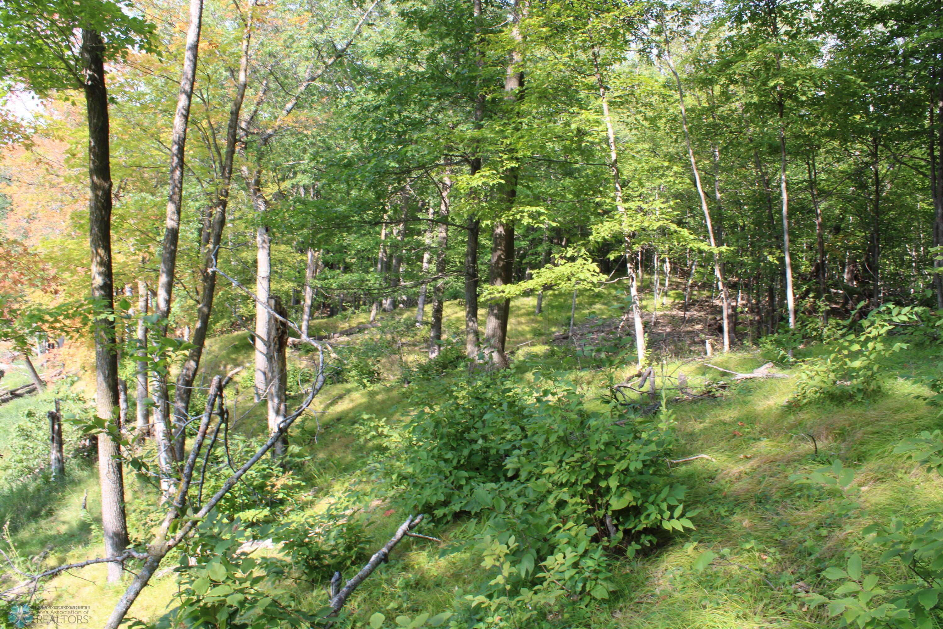 Small Ponds