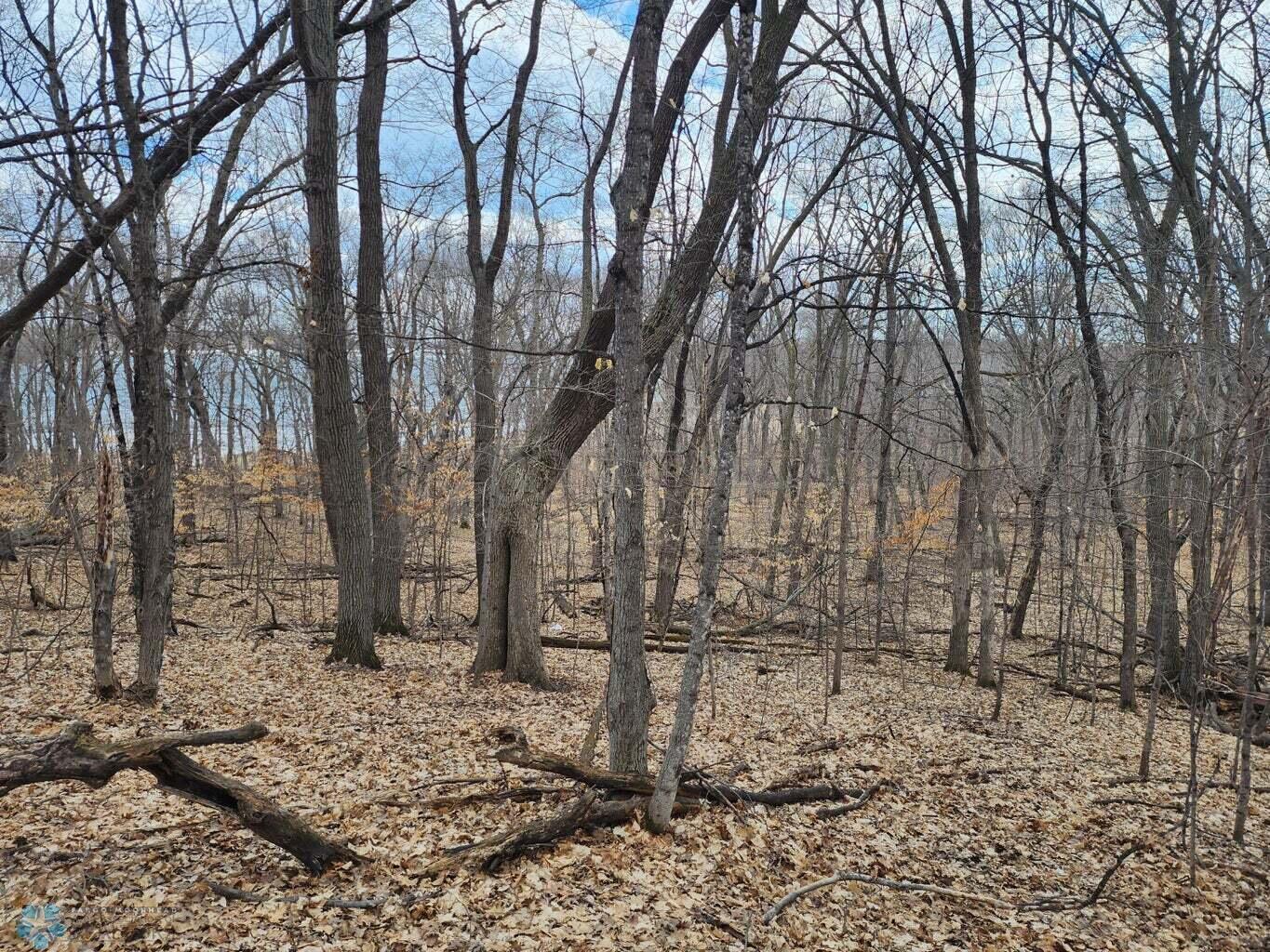Nicely Wooded
