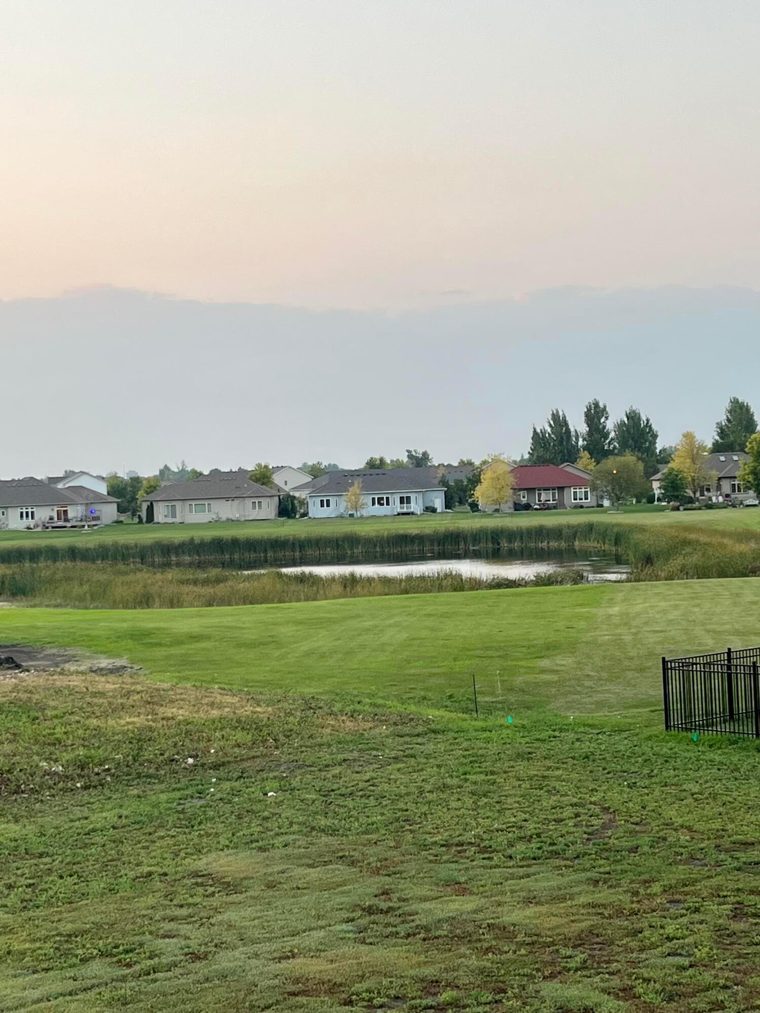 Pond view