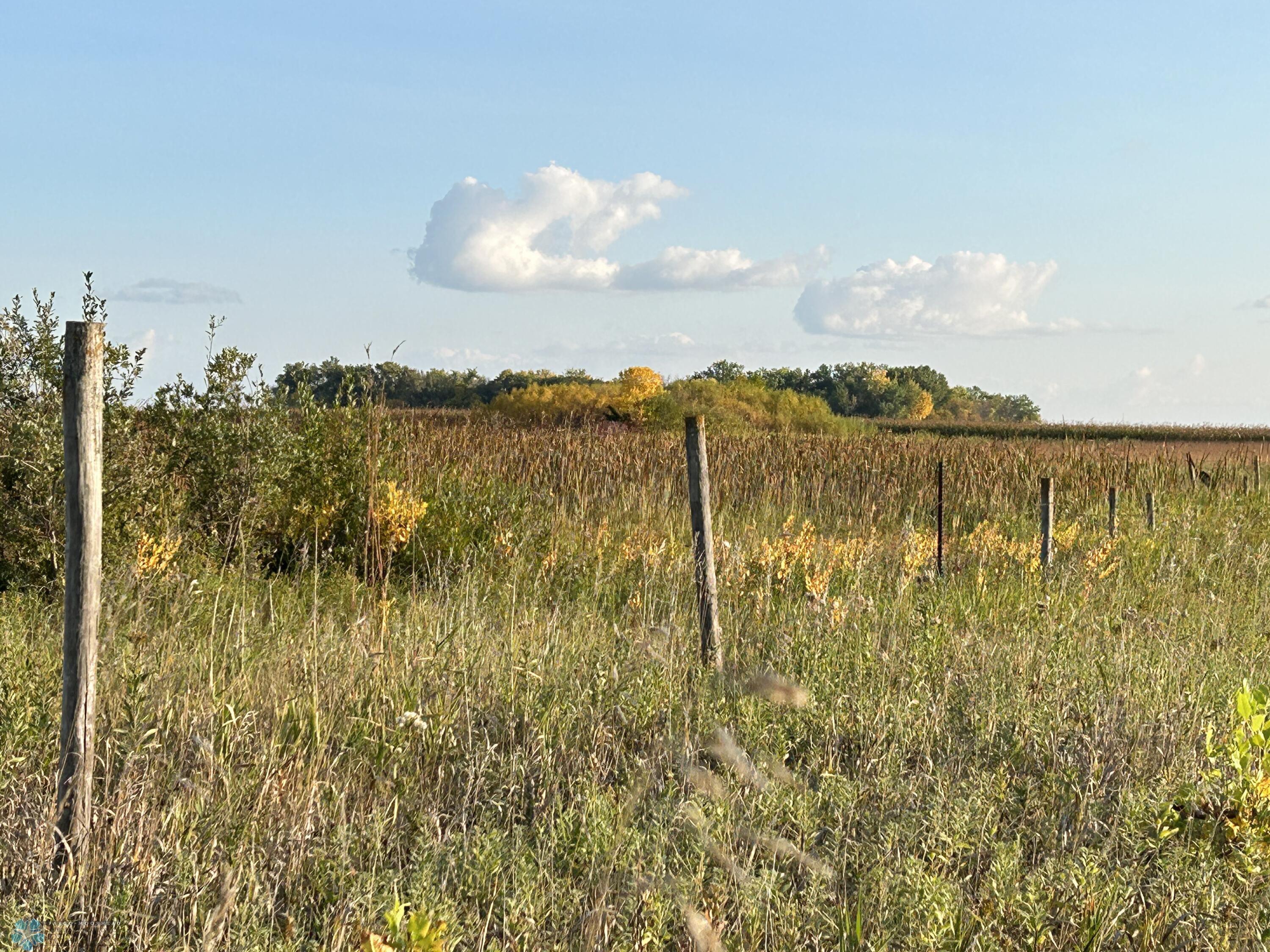 Fence Posts