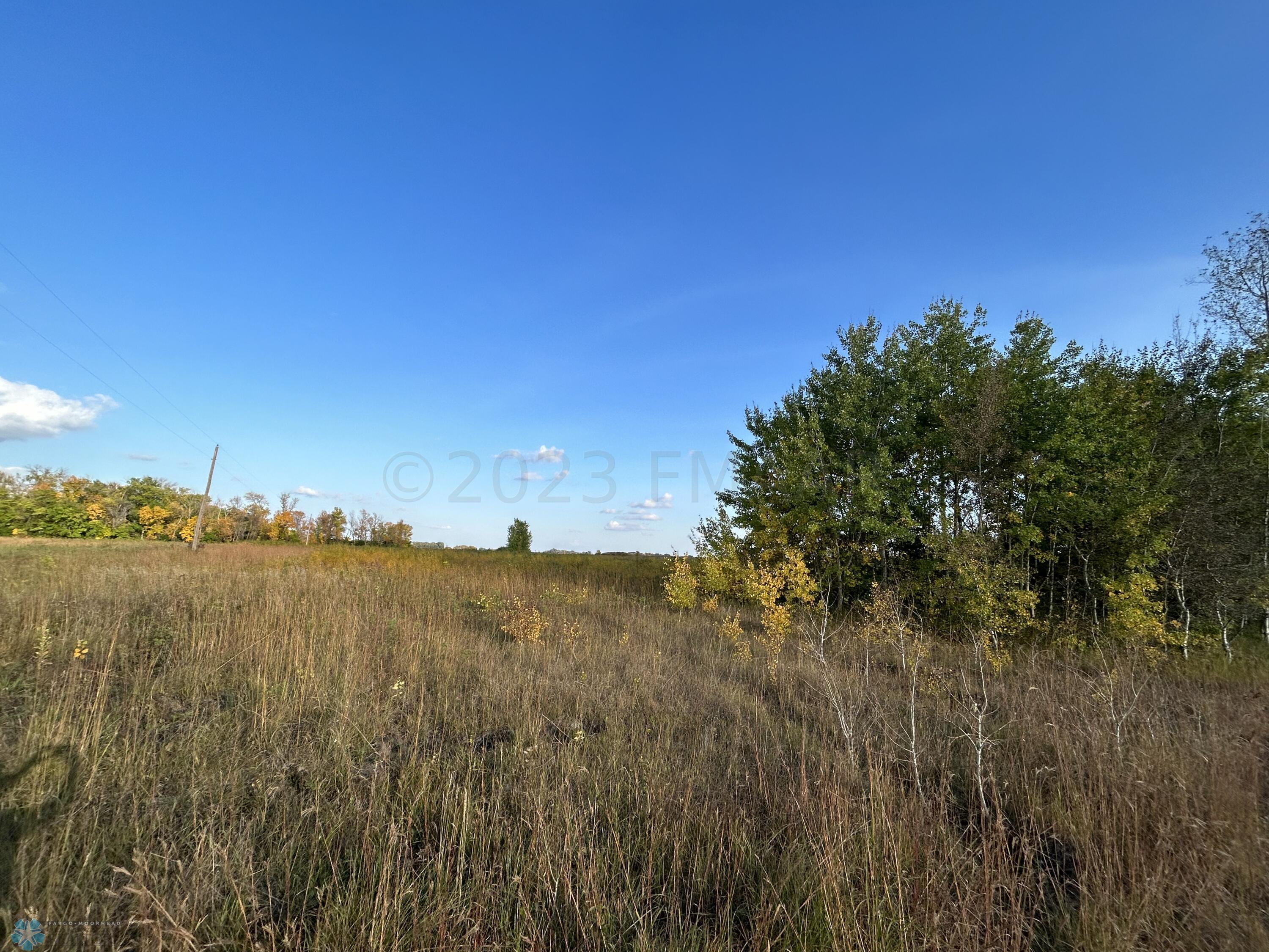 Grassland