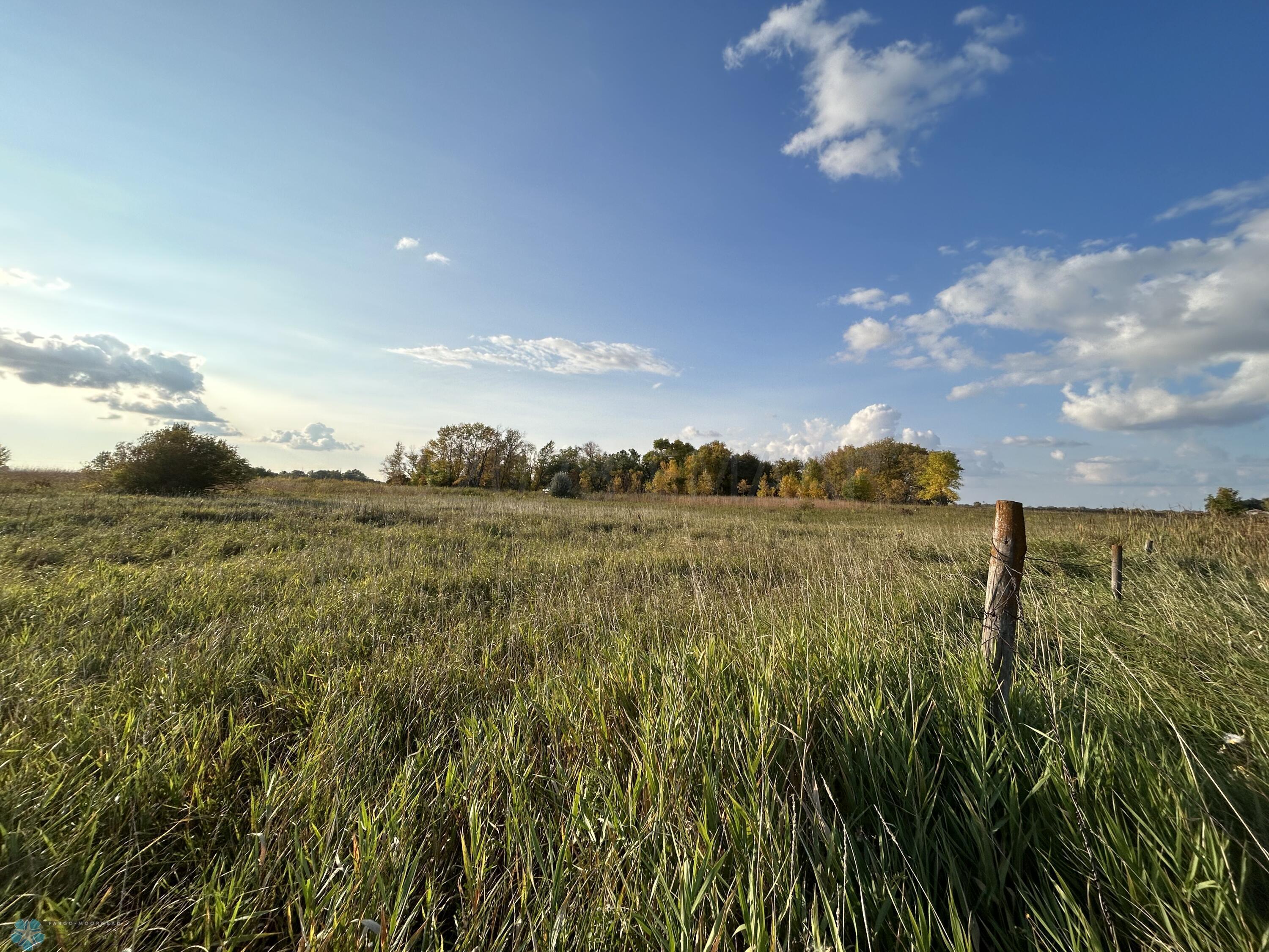 Grassland