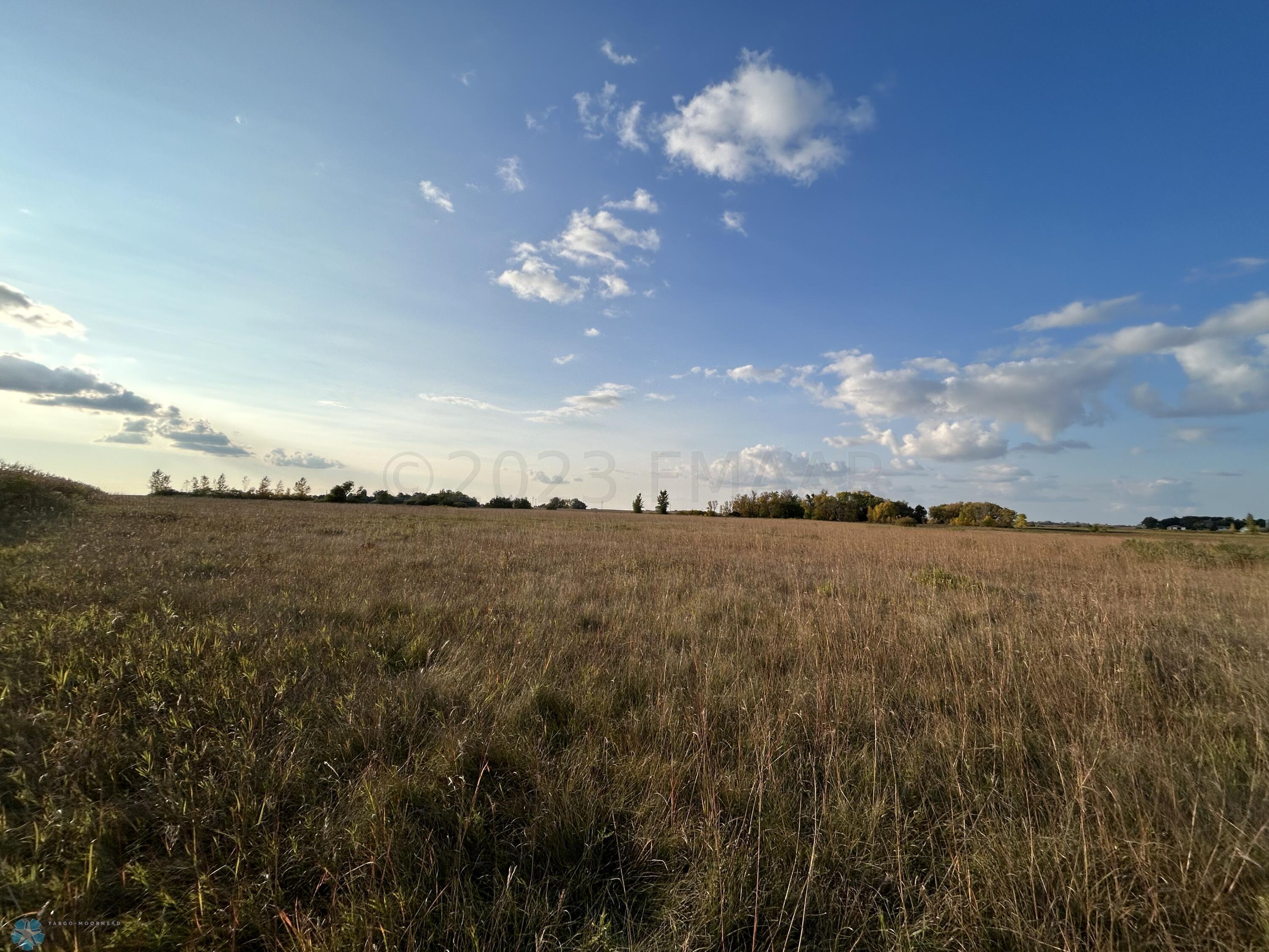 Grassland