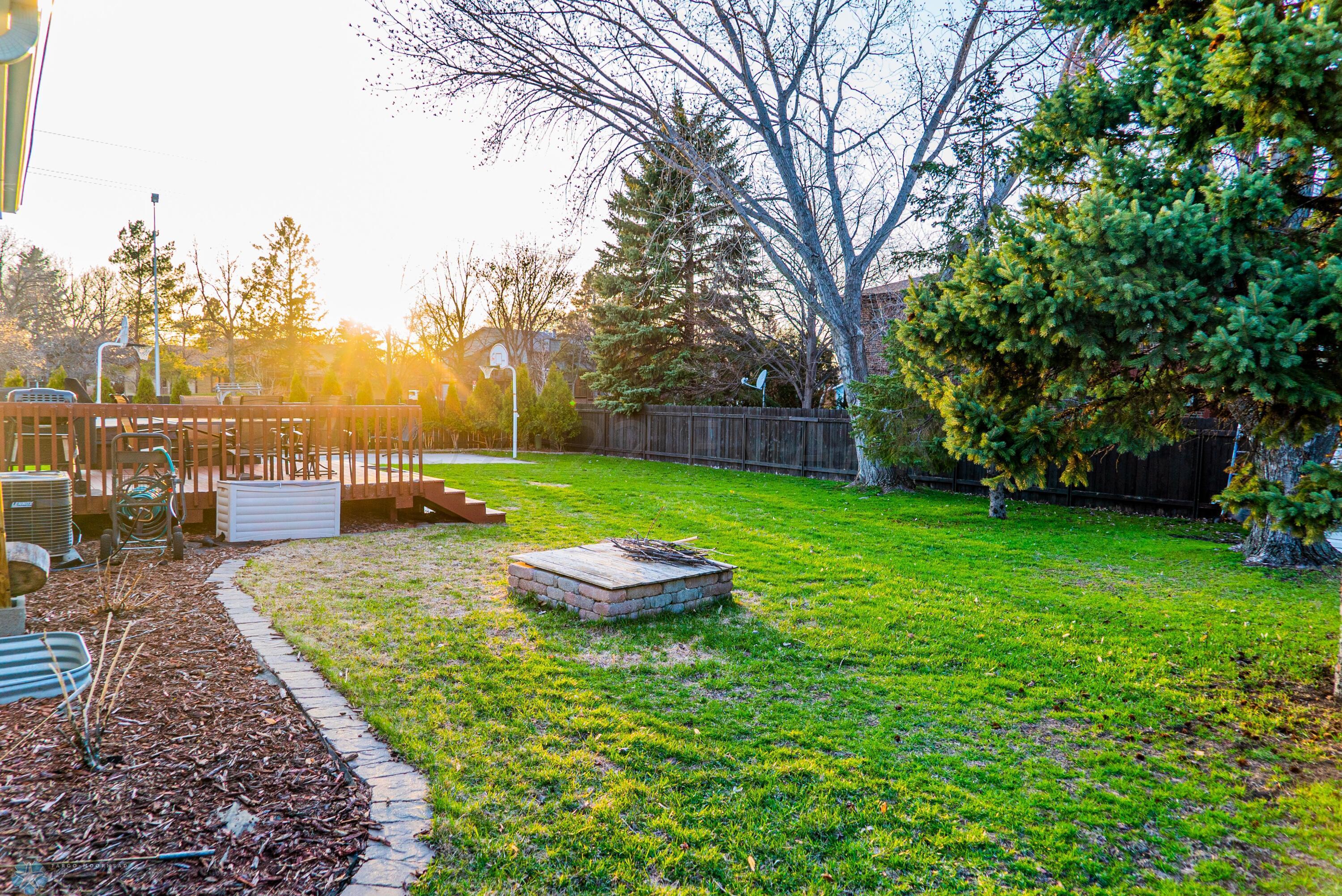 backyard4