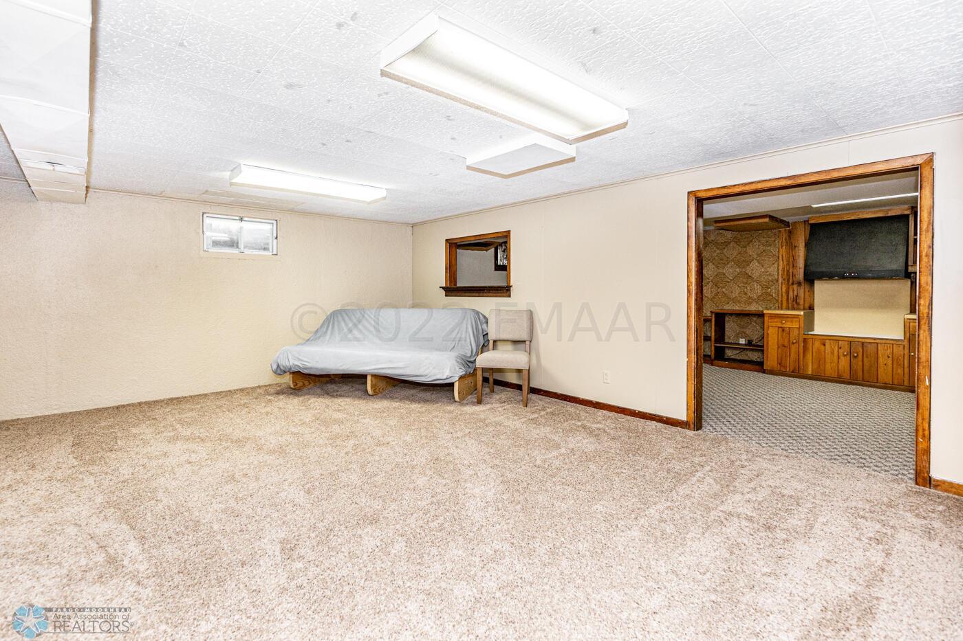 Basement Family Room