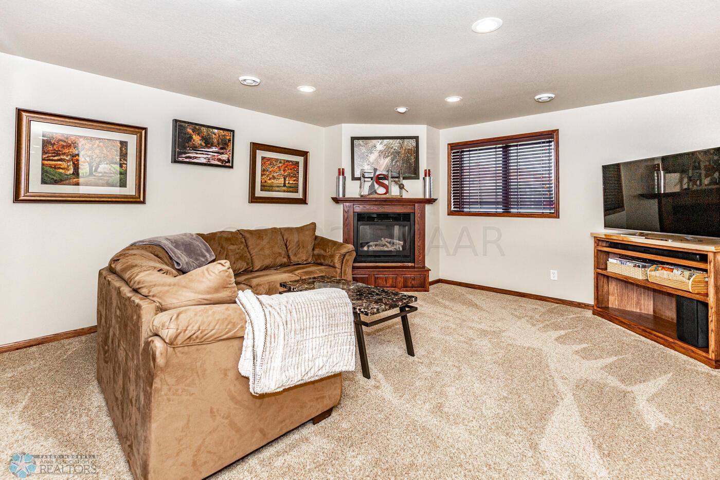 Lower Level Living Room
