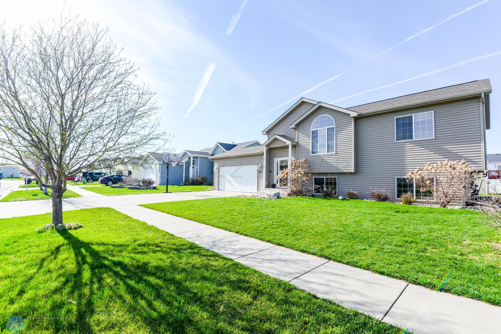 Front Yard