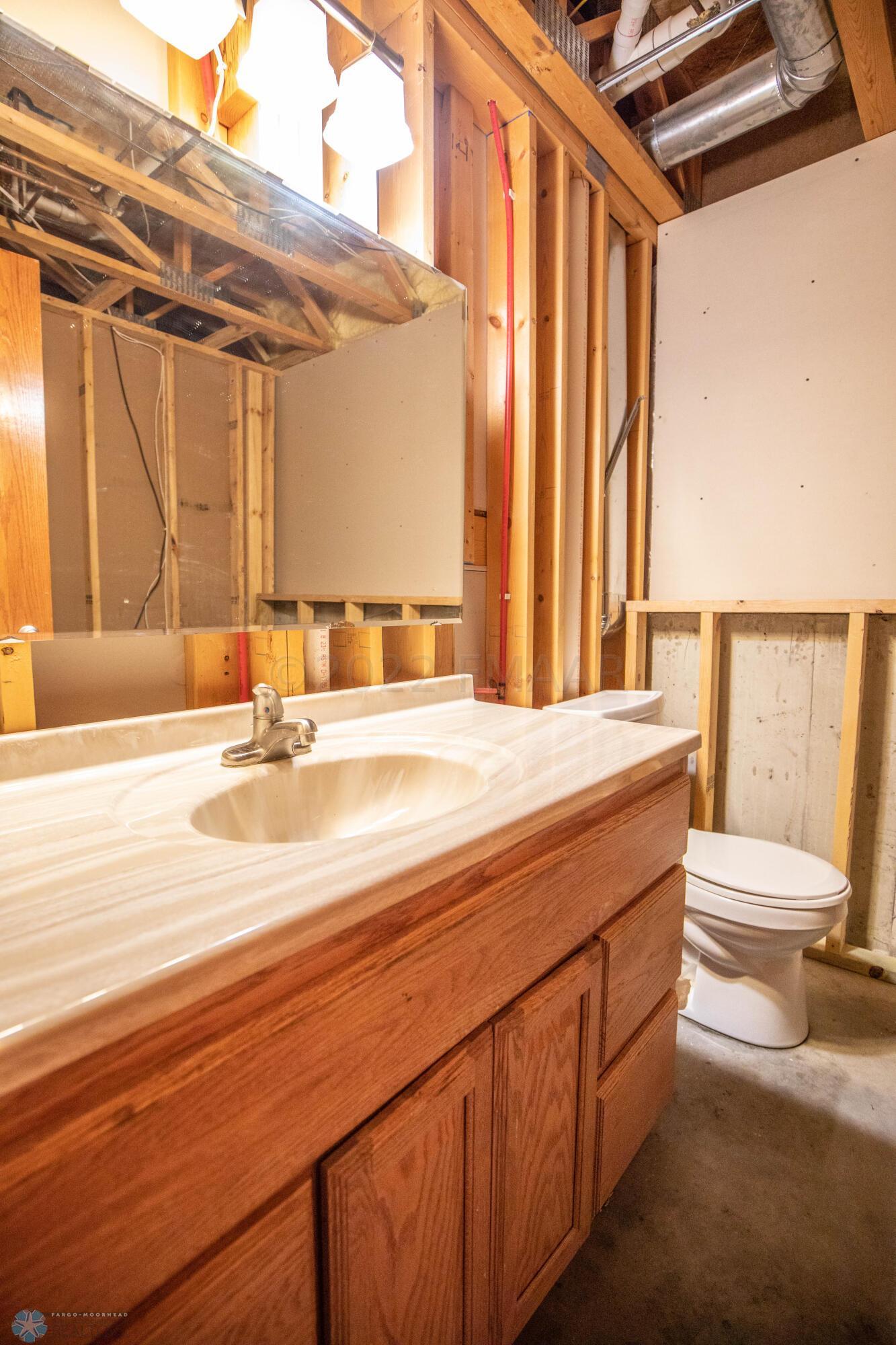 Lower Level Bathroom (needs finishing)